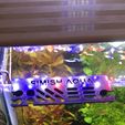 Aquarium-Tools-Holder-1.jpg Acquario - Portautensili per l'aquascaping