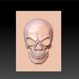 skull_artistic1.jpg Télécharger fichier STL gratuit crâne • Plan pour imprimante 3D, stlfilesfree