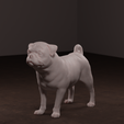 puggo-2.png Archivo 3D Perro Pug・Modelo para descargar e imprimir en 3D