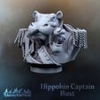hippokin-captain-bust.jpg Buste du capitaine Hippokin