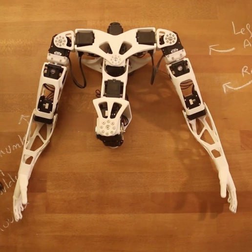 Capture d’écran 2017-06-21 à 15.44.12.png Mohn-Humanoid