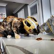 CAT ARMOR