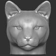 1.jpg Cougar / Mountain Lion head for 3D printing