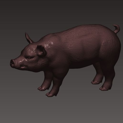 3.jpg Pig 3D print model