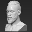 3.jpg Ragnar Lothbrook Vikings bust 3D printing ready stl obj