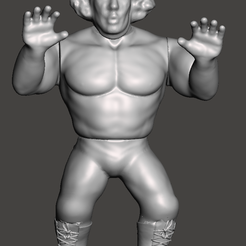 Untitled.png Archivo OBJ wwf wwe aew ecw wcw・Modelo de impresión 3D para descargar