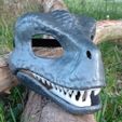 mask4.jpg RAPTOR-MASKE