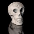 ShopE.jpg Skull Skull Sugar