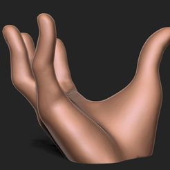 1.jpg Hand