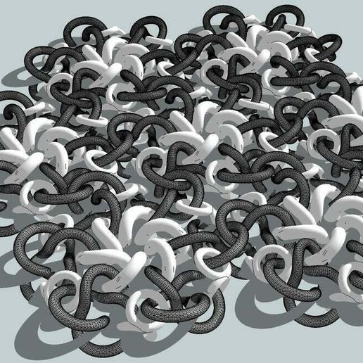 loopieA.jpg RCS Loopie