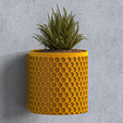 untitled.130-copy-2.png WALL MOUNTED PLANTER POT WITH DRIP TRAY - HONEYCOMB DESIGN