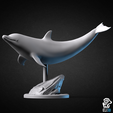 dolphin.png Animals - Ocean Wildlife