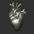 03.jpg HEART