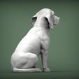 beagle5.jpg 3D-Datei Beagle 3D-Druckmodell・3D-druckbares Modell zum herunterladen