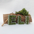 2000x2000_Eli.png Moss Letters for names