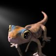 Pachydactylus-Rangei_BodenDark2.jpg Namib Gecko -Pachydactylus rangaii-with full size texture + Zbrush Originals-STL 3D Print File-High Polygon