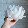 7.jpg Nymphaea Siam Blanco - Luz de noche LED Modelo de impresión 3D 🌸