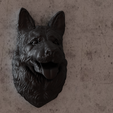 german-shepphard-black-6.png German shepherd dog head wall mount