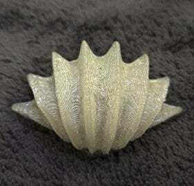 Shell Bowl - 3D model önizlemesi