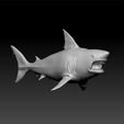 shark1.jpg Shark - realistic shark 3d model for 3d print