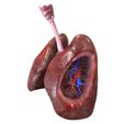 Left_View.jpg Archivo STL Sistema respiratorio・Modelo imprimible en 3D para descargar