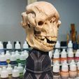 1.5.jpg Skull Moria Troll - Fan Art