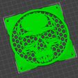 Screenshot-2024-03-07-234204.jpg skull