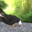 0_00051.png Eagle Eagle - DOWNLOAD Eagle 3d Model - Animated for Blender-Fbx-Unity-Maya-Unreal-C4d-3ds Max - 3D Printing Eagle Eagle BIRD - DINOSAUR - POKÉMON - PREDATOR - SKY - MONSTER