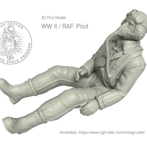 pilot-raf-3d-model-stl.png.jpeg PILOT (1:6)
