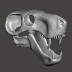 inostrancevia1.jpg STL file Dinosaur skull, Inostrancevia cranium and jaw・3D print design to download, Lucas_Kranz
