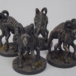Mutated Goat