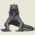 Wild-Iguana-Lizard-03.jpg Iguana salvaje Lagarto