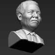 nelson-mandela-bust-ready-for-full-color-3d-printing-3d-model-obj-mtl-fbx-stl-wrl-wrz (36).jpg Nelson Mandela bust 3D printing ready stl obj