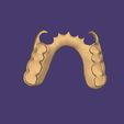 Clipboard-2024-08-24-14-54-36.jpg DIGITAL FLEXIBLE PARTIAL REMOVABLE DENTURE (4 stl files)