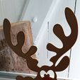 20201217_0934301.jpg Reindeer window decoration