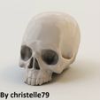 product_image_14565.jpg Human Skull