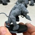 Thumbnail-5.jpg Free STL file Rattus Muscularis・3D printable design to download