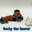 Bucky-the-Beaver.png Bucky the Snorkeling Beaver flexi