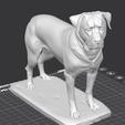 rottcpp.png Rottweiler
