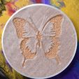 KAT_4961.jpg Stencil Butterfly - (Fit round coasters)