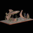 pstruh-podstavec-2-1-3.png two rainbow trout scenery in underwather for 3d print detailed texture