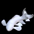 WIRE2.jpg GOLDFISH Guppy Blue Grass FISH TOAD AMPHIBIAN TADPOLE ANIMAL ANATOMY 3D MODEL WATER OCEAN RIVER BOAT SALMON SHARK