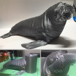 Capture d’écran 2017-03-02 à 16.16.50.png The Walrus