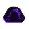 inferiore.stl Dental Orthodontic Study Model with  Bases