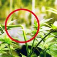 super-cropping.jpg Lst - Tutor - Обрезка