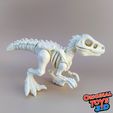 9.jpg Velociraptor Skeleton Articulated/Flexi