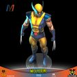 V019_MARVEL_WOLVERINE_2.jpg V040 - MARVEL WOLVERINE X3 PACK