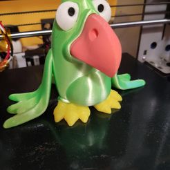 Coco Birdy, the little bird of the islands...