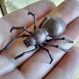 0918191041a_HDR-1.jpg Realistic Spider for Jewelry or Home Decoration