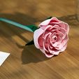 Shapeofmike-Articulate-Rose-Valentines-Romantic_Revised10-2.jpg Mechanical Articulated Rose - Flower